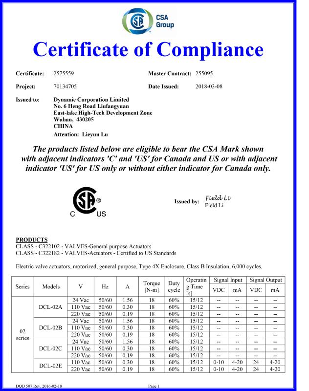 CSA - Dynamic Corporation Limited