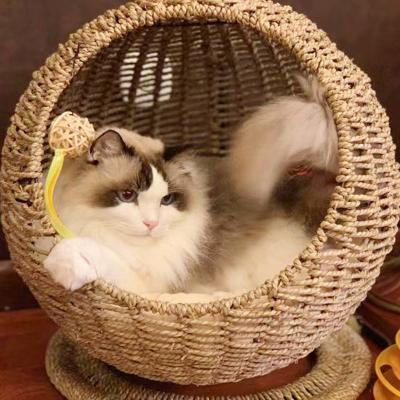 China Factory Wholesale Sky Blue Cat Handwoven Waterproof Mini Rattan Black White Handwoven Swing for sale