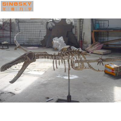 China High Quality Museum Simulation Skeleton Pterosaur Fossil For Science Exhibition for sale