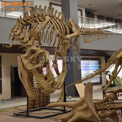 China Artificial Jurassic Fossil Reproductions Dinosaur Theme Park Fiberglass Tyrannosaurus Tyrannosaurus Rex Display Model for sale