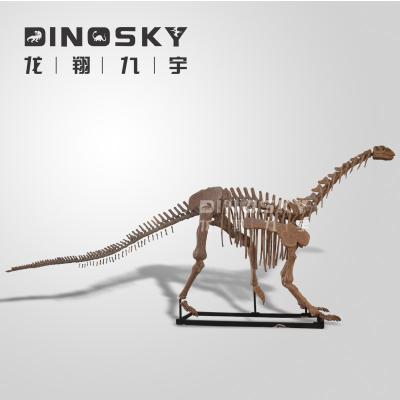 China Jurassic Theme Park Dinosaur Artificial Skeletons Reproductions Tyrannosaurus Rex Display Model for sale