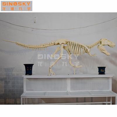 China Theme Park Dinosaur Archeology Table Yrannosaurus Rex Display Model Dinosaur Excavation Kit for sale