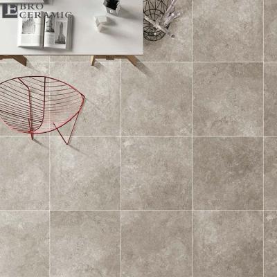 China 60x60 60x120 Rustic Natural Matte Surface Porcelain Tiles Hot Sale Ceramic Tiles Home Flooring Living Room Porcelain for sale