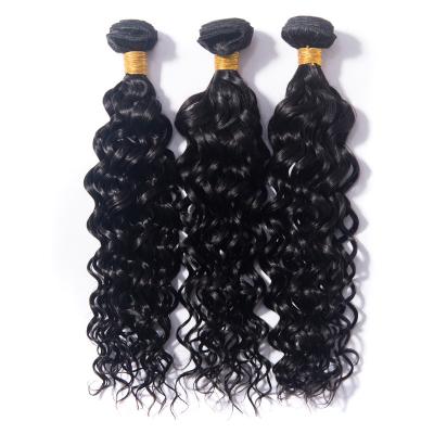 China 100% Indian Raw Virgin Hair Water Wave Full Cuticle Aligned Hair Lice No Feel Deep Curly Hair Bundles for sale