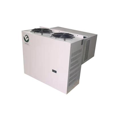 China New Technic Hotels 2020 Monoblock Solar Inverter DC Condensing Unit For Cold Room for sale