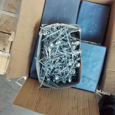 China Flat roofing nail for Africa for sale