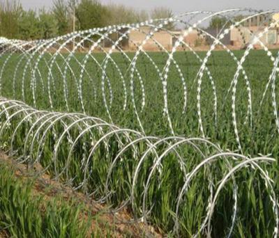 China Procetion Razor Barbed Wire Low Price Hot Dipped Galvanized Concertina Razor Wire for sale