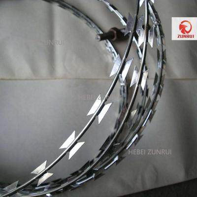 China Procetion Razor Barbed Wire Low Price Hot Dipped Galvanized Concertina Razor Wire for sale