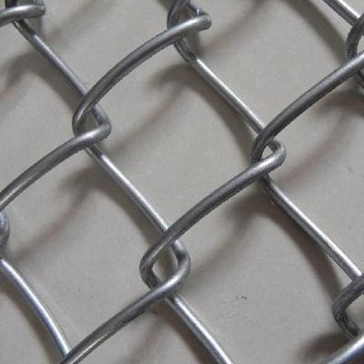 China Reverse Twisted Normal Twisted Hexagonal Size Double Twist Wire Mesh Customized Netting for sale