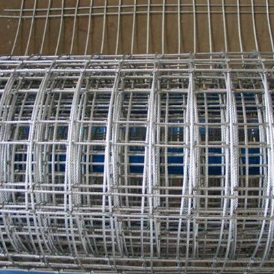 China Construction Wire Mesh Manufacture Supplier 8 Gauge 9 Gauge Galvanized Welded Wire Mesh for sale