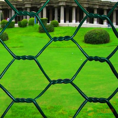 China Fence Mesh Hexagonal Wire Mesh Hexagonal Wire Mesh Price Galvanized Hexagonal Wire Mesh for sale