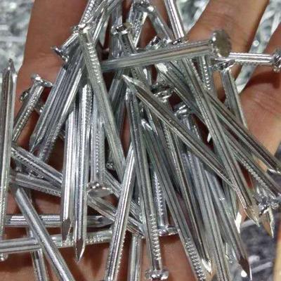 China China Flat Professional Manufacture Concrete Galvanized Nails for sale