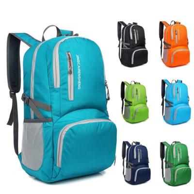 China Other Backpacks For Boys Shool Daily Open Outdoor Waterproof Boy Caron Bag Nylon And Canvas for sale