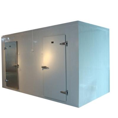 China Chicken And Meat Freezer Storage Room Freezer Cold Room For Fish And Meat à venda