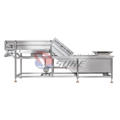 Cina Hot Selling Fish Meat Shrimp Vegetable Fruit Ice Glazing Ice Coating Machines in vendita