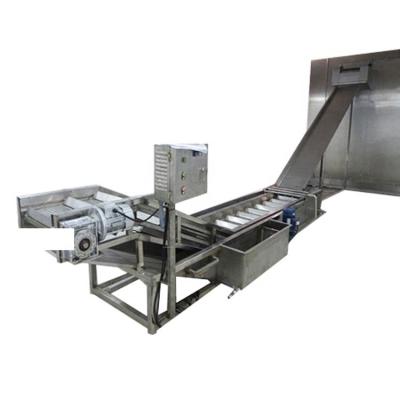 Cina China Supply Automatic Seafood Prawn Fish Meat Ice Coating  Shrimp Ice Glazing Machine for Sale in vendita