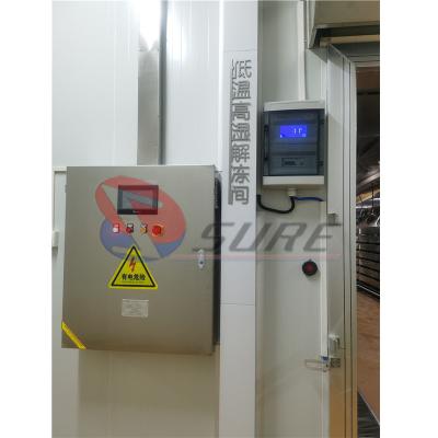 China Multi-function Frozen Chicken Beef Port Meat Thawing Machine For Industry Meat Processing Factory zu verkaufen