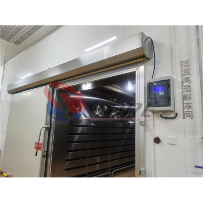 China Cold Frozen Meat Thawing Machine Stainless Steel Thawing Plate Defrosting Machine à venda