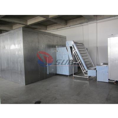 中国 Sure 1000kg/H Spiral Blast Freezer customized IQF Shrimp Spiral Freezer 販売のため