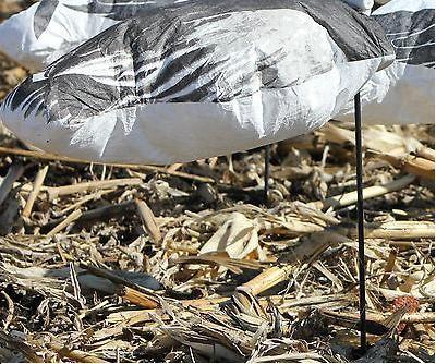 China FLOCKED 3-D SENTRY Snow Goose Decoys by Sillosock Decoys (1dz.) N for sale