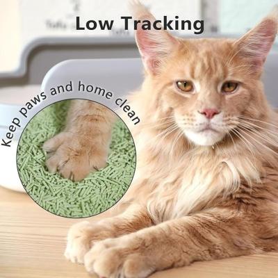 China Non Stick Green Tea Cat Litter OEM ODM Degradable Tofu Based Cat Litter for sale