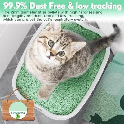 China ODM Sustainable Organic Green Tea Cat Litter Quick Clumping Dust Free Flushable for sale