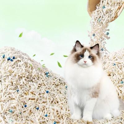 China 70% Tofu 30% Bentonite Cat Litter Tofu Cat Sand Customized for sale