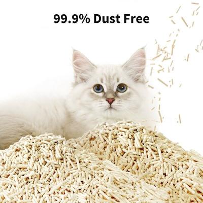 Cina Tofu puro Cat Litter Tè bianco Naturale Fibre vegetali Materia prima di qualità alimentare in vendita