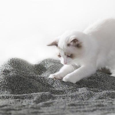 China Easy Scooping Ore Cat Litter Grey Dustless Kitty Litter Natural Materials for sale