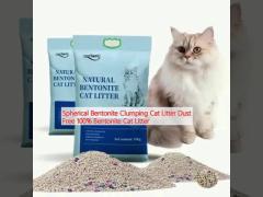 Spherical Bentonite Clumping Cat Litter Dust Free 100% Bentonite Cat Litter