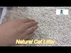 high absorbent flushable tofu cat litter 100% natural environmentally friendly