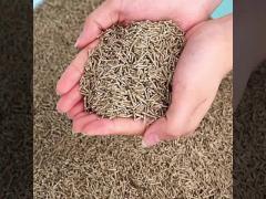 Tea cat litter