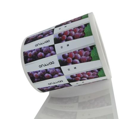 China Waterproof Custom Reel Label Customized Self Adhesive Food Label Transparent Food Fruit Sticker Label for sale