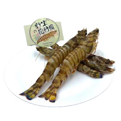 China Hot Selling Delicious Seafood FROZEN Jumbo Frozen Prawn Prawn At A Favorable Price for sale