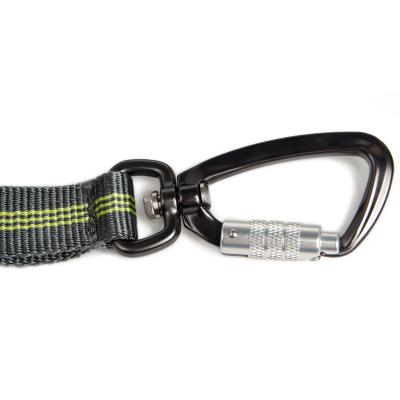 China Retail Industry Heavy Duty Aluminum Swivel Carabiner 4KN Self Locking Carabiner For Dog Leash for sale