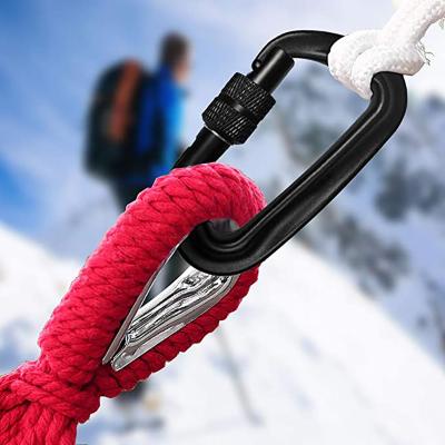 China Black Color Retail Industry Security Screw Carabiner Clips 12KN Hevry Duty Carabiner Hammock D-Shaped Hook for sale