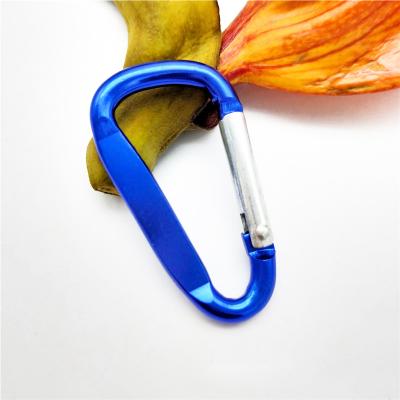 China Retail Industry Luxury Small Blue Color Carabiner Aluminum Alloy Carabiner D-Shaped Key Chain for sale