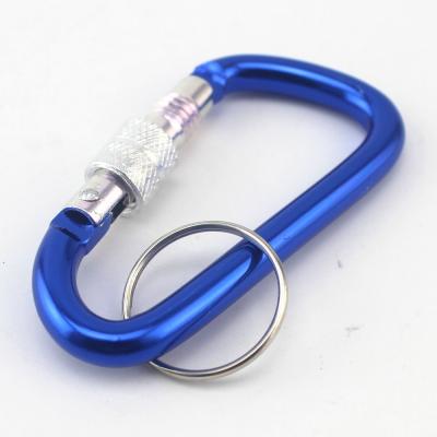 China Retail Industry Security Screw D Shaped Carabiner Hooks Key Chain Aluminum Metal Lock Carabiner With Key Fob for sale