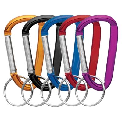 China Retail Industry Multifunctional Carabiner #8 D Shaped Flat Carabiner With Key Chain Snap Hook for sale