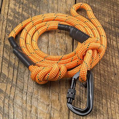 China Nylon Padded Dog Rope 12kn Dog Leash Manufacturer Heavy Duty Medium Padded Leash With Carabiner Customized for sale