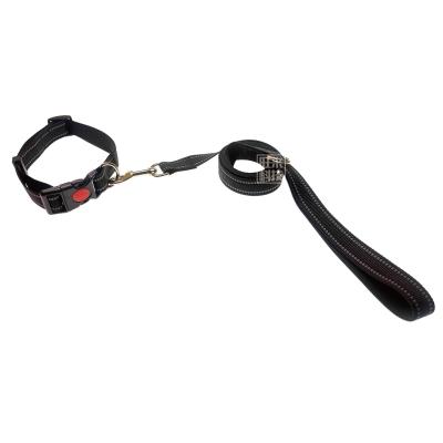 China Pet Viable Border Adjustable Collar Traction Dog Spot Dog Leash for sale