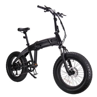 China Electric Bike 20