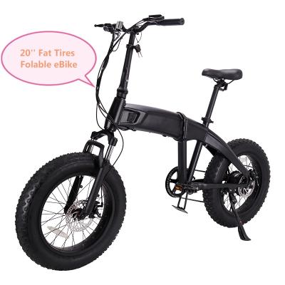 China Electric Bike 20