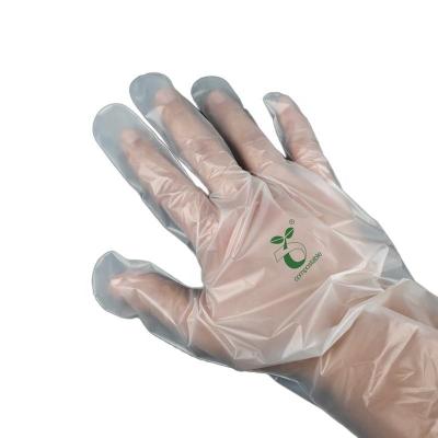 China 100% Compostable Gloves, Cornstarchgloves, Food Service Disposable Gloves, Food Prep Cooking Gloves, Eco-Friendly for sale