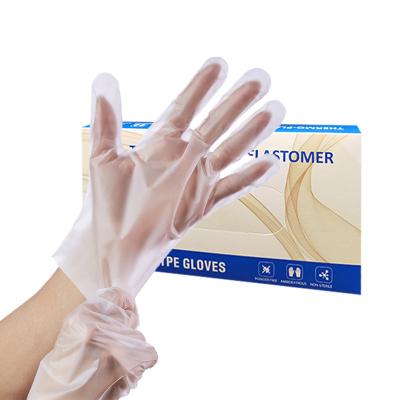 China Wholesale Biodegradable Sustainable Recyclable Powder Free Disposable TPE/PE Gloves Low Cost Disposable PE Gloves for sale