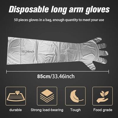 China Disposable Field Dressing Gloves Veterinary Insemination Rectal Long Gloves, Extra Long Sleeve Full Arm Gloves for sale