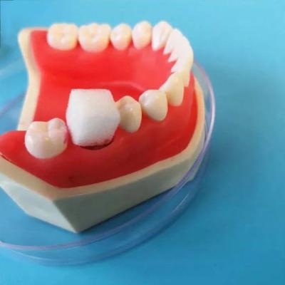 China High Quality Absorbable Medical Dental Use Tactical Gelatin Hemostatic Sponge OEM Wholesale for sale