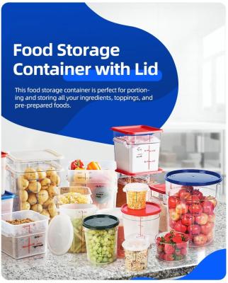 China Kichen Organizer Storage Plastic Storage Containers For Food Storage Organization And Storage for sale