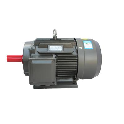 China IP55 Ye3 Series 0.75Kw-315Kw Three Phase Asynchronous Motor for sale