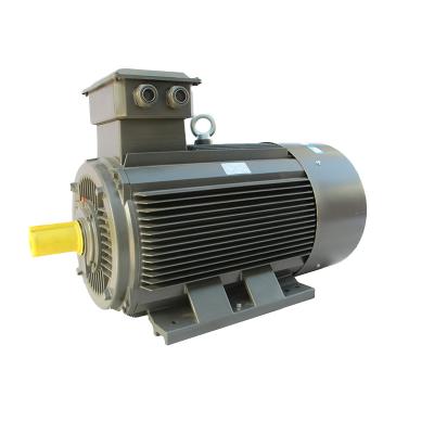 China IP55 Ye3 Series 2.2Kw3Kw8 Pole Three Phase Induction Motorasynchronous Motor for sale